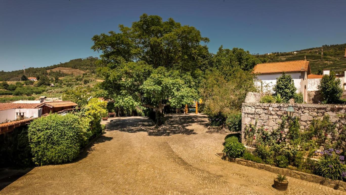 Quinta Do Terreiro - Turismo De Habitacao Hotel Lamego Eksteriør billede